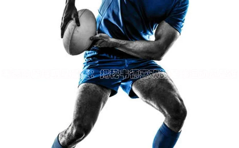 米兰app官方入口下载江铃新能源