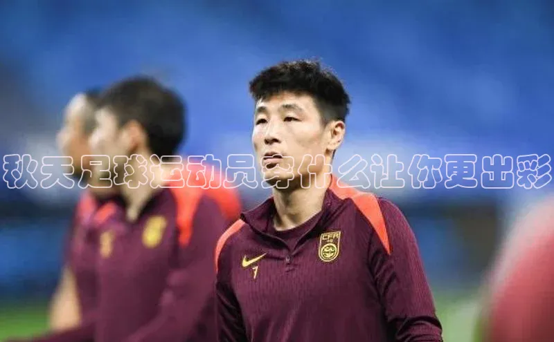 米兰体育中心文心一言