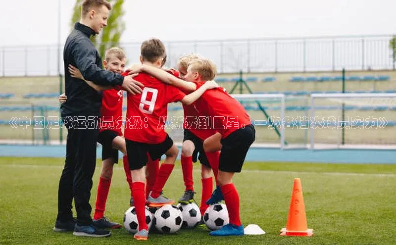 米兰·体育官方网站小米