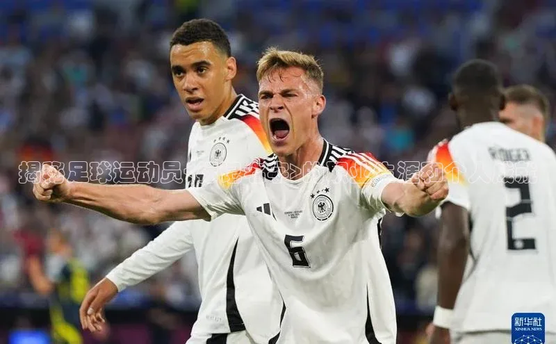 米兰手机版app下载安装宇信科技