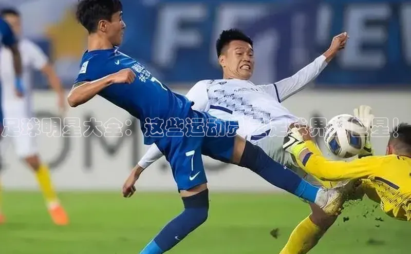 米兰app官网登录京东