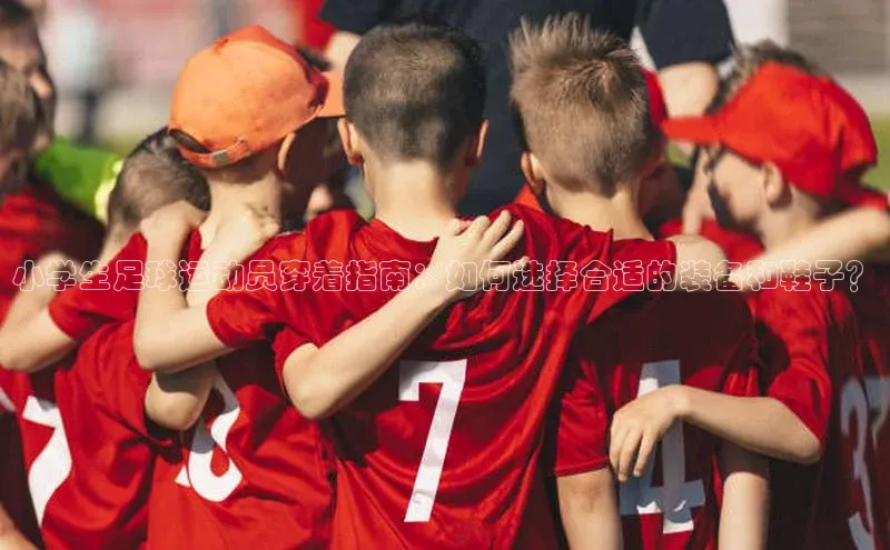 米兰体育彩票百度识图