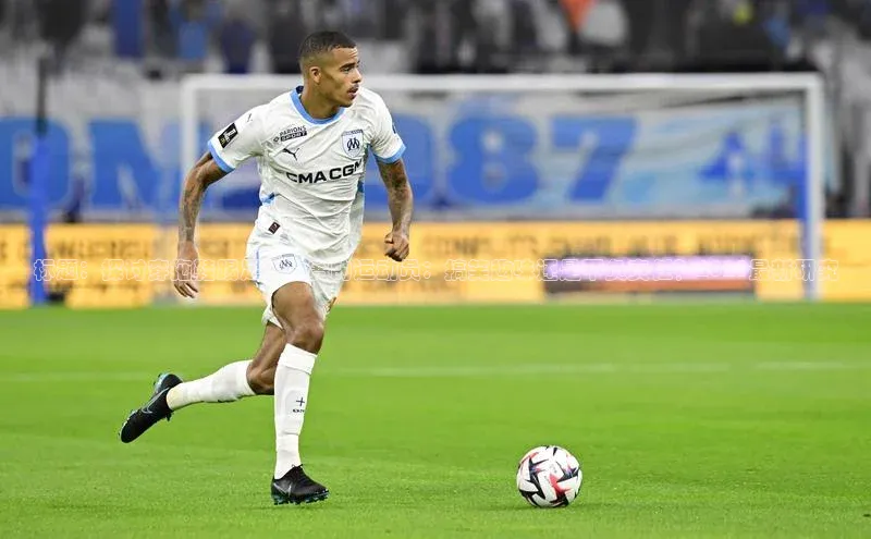 米兰app官网登录百度翻译App