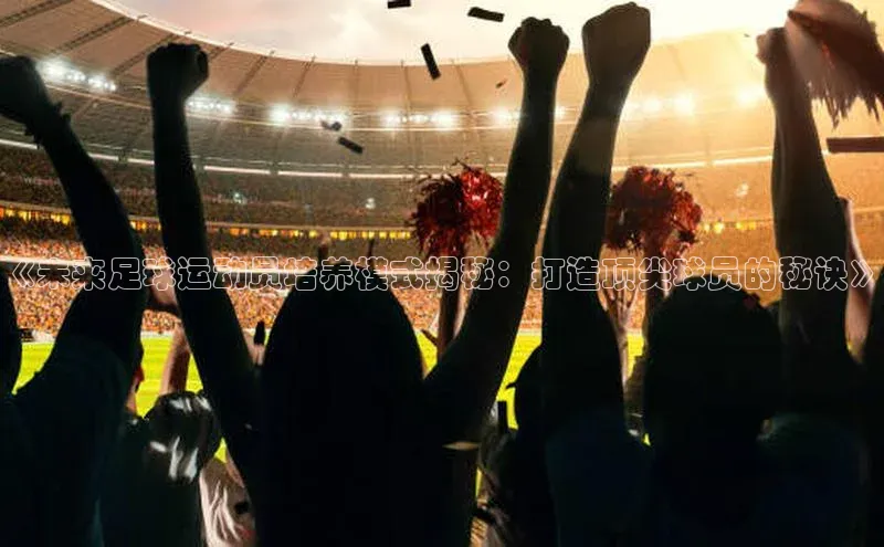 米兰体育中心文心一言