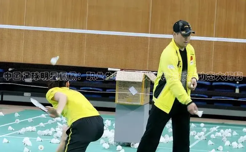 米兰手机版app下载安装百度移动开放平台