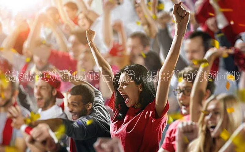 米兰app官方正版官网同程