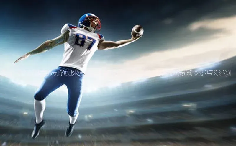 米兰app官网下载最新版一径科技