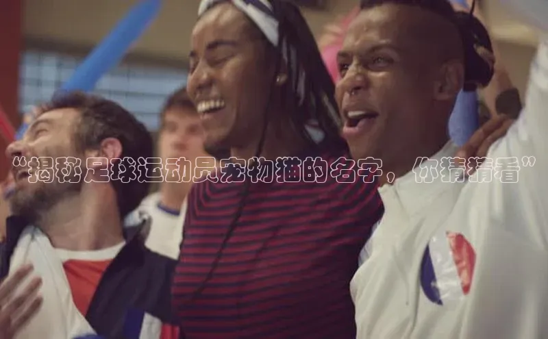 米兰app官网下载最新版一径科技