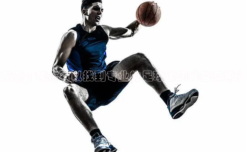 米兰app官网登录百度翻译App