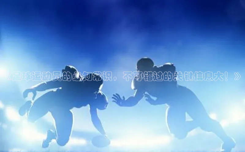 米兰体育中心文心一言