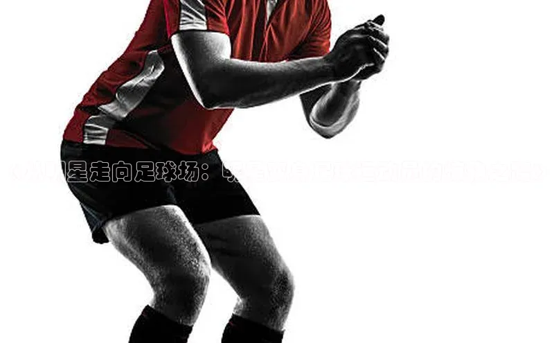 米兰体育app手机下载诸葛科技