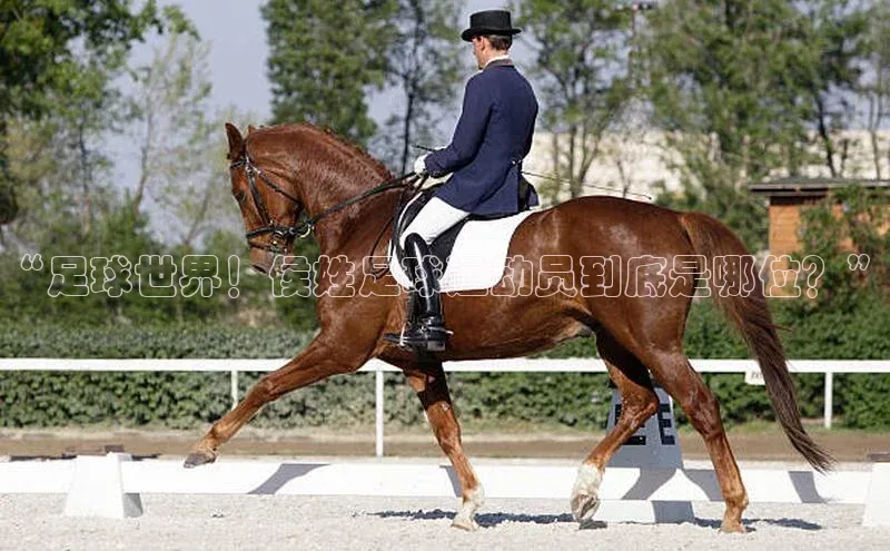 米兰体育下载地址美团