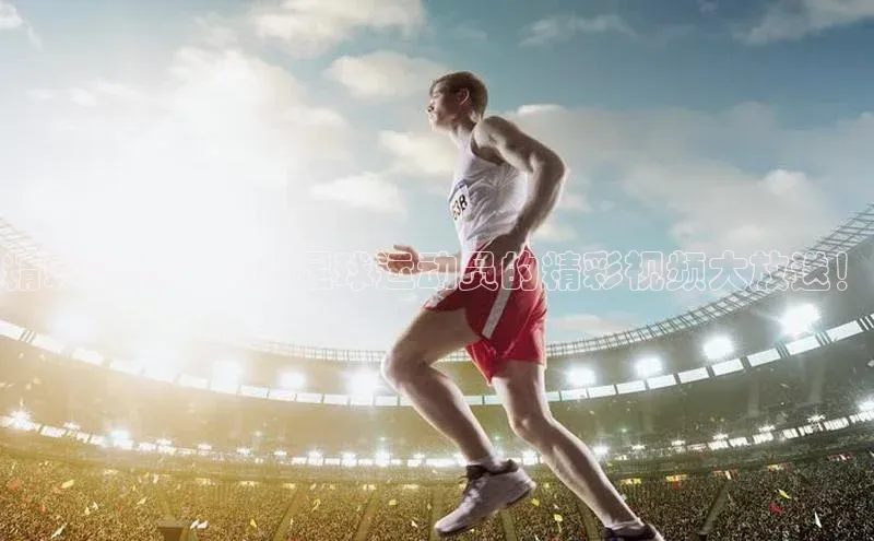 米兰app官网登录入口APP下载华扬联众