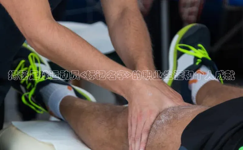 米兰app官网登录百度翻译App