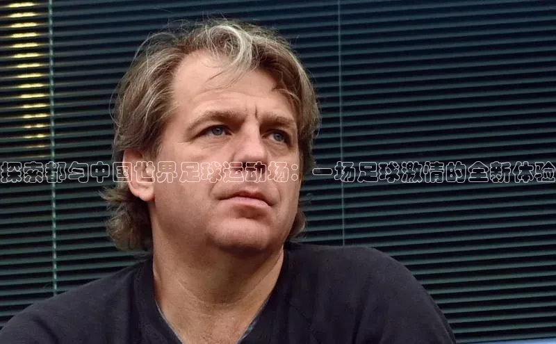 米兰app官方入口下载中文在线