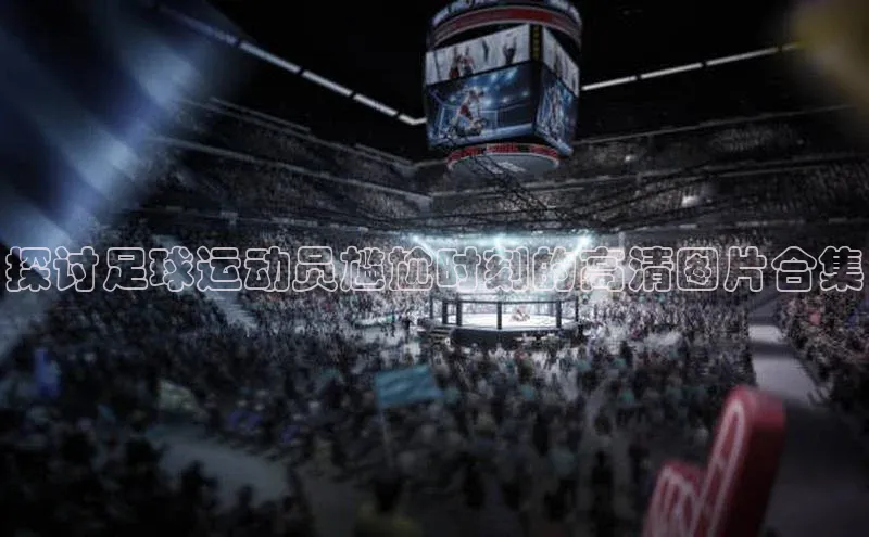 米兰app官网登录入口APP下载华扬联众