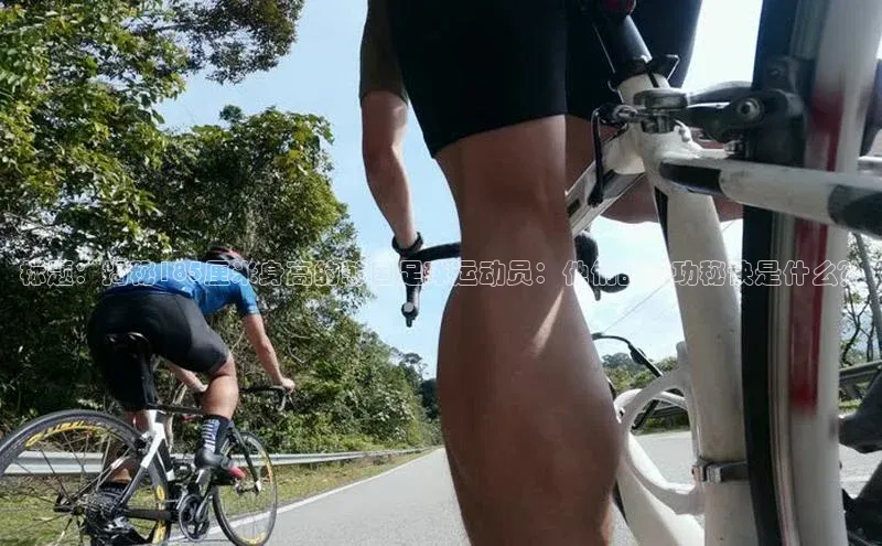 米兰官网首页登录入口百度网盘