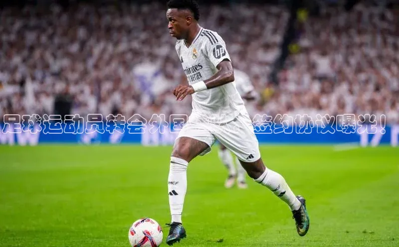 米兰体育彩票是正规的吗视觉中国