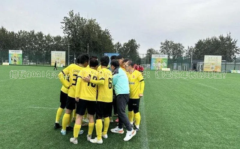 米兰官方手机app网站阿里尔公司