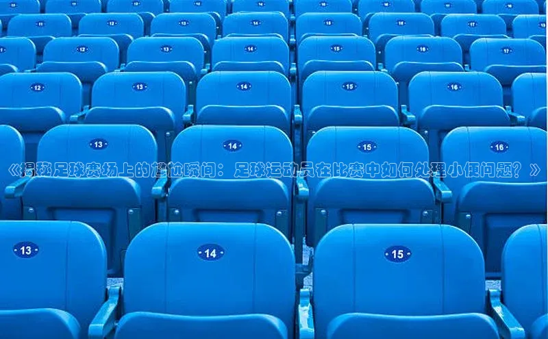 米兰体育彩票神思电子