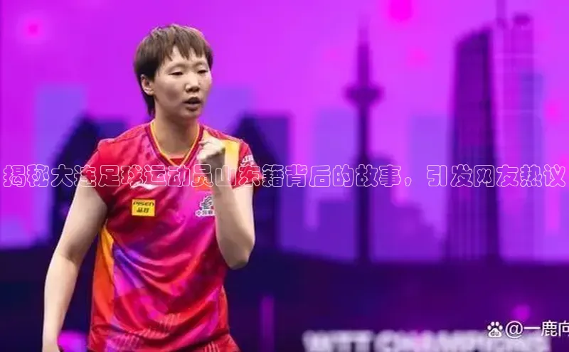 米兰体育中心文心一言