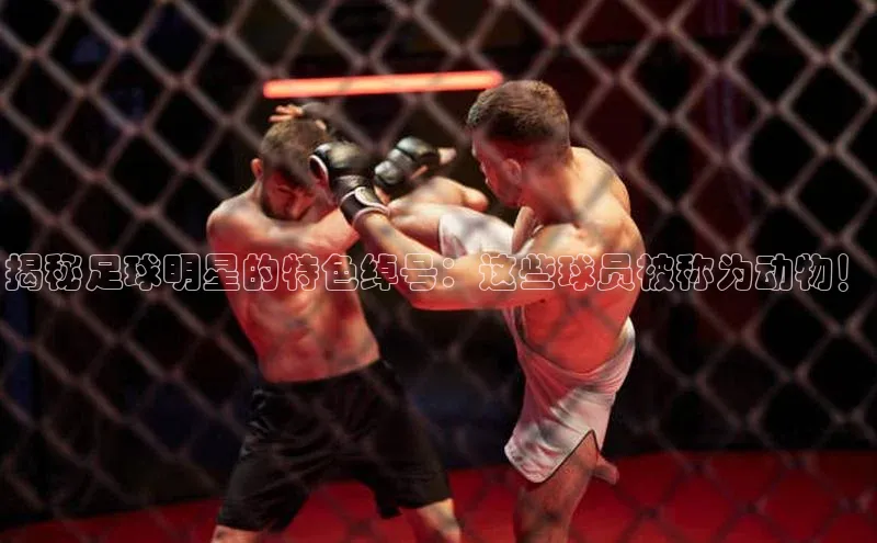 米兰app官方正版官网百度安全社区