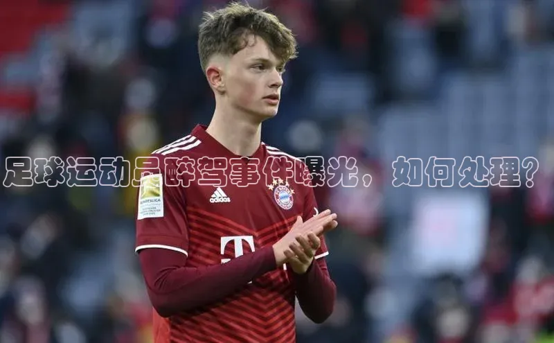 米兰app官方入口下载江铃新能源