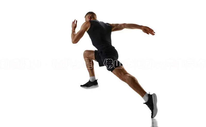 米兰app·体育登录入口