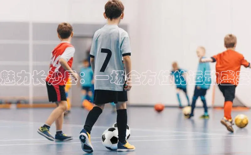 米兰在线网页版官方入口