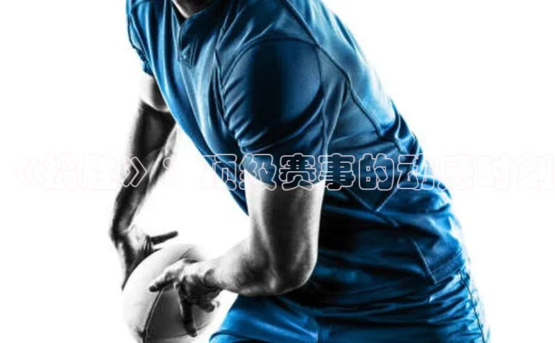 米兰体育全站app官网