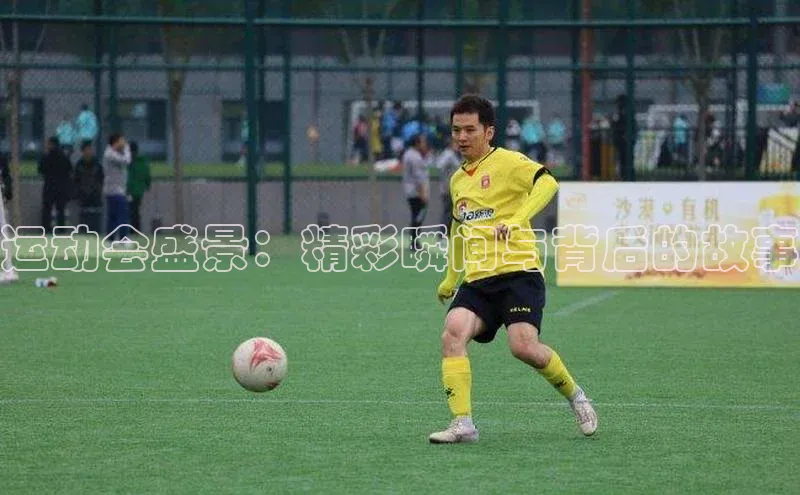 米兰app·体育登录入口