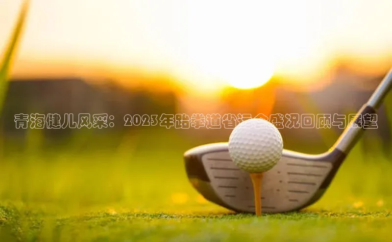 米兰·全站APP登录入口