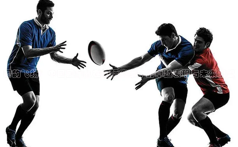 米兰·全站APP登录入口